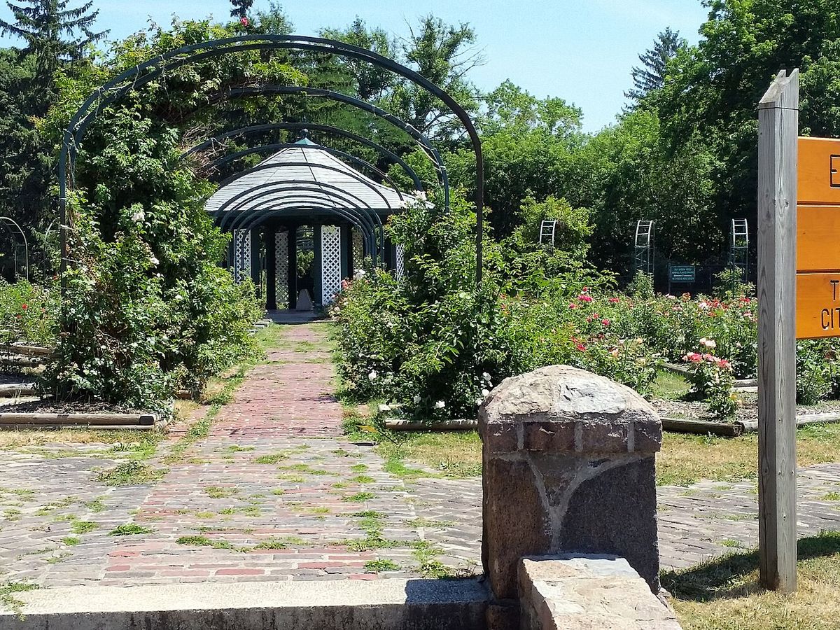 The rose garden in Thornden Park, Syracuse